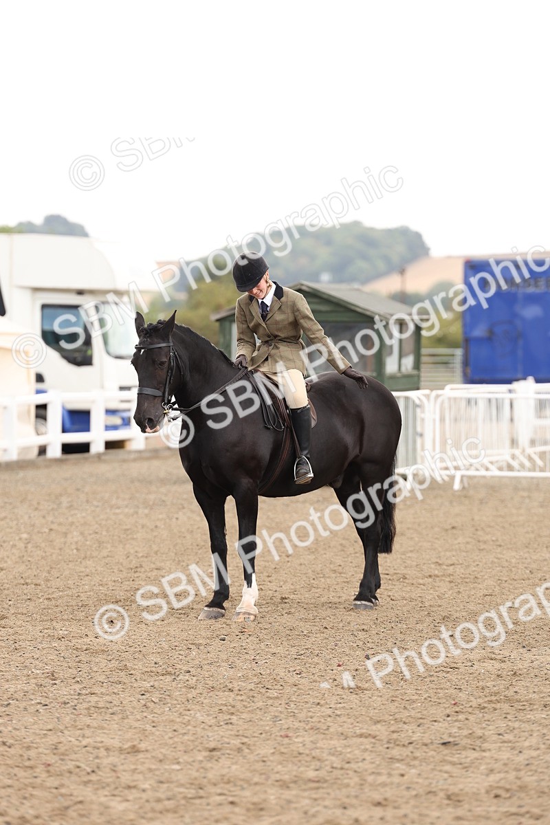 SBM_02915 - Class 53 - Ridden Competition Horse/Pony