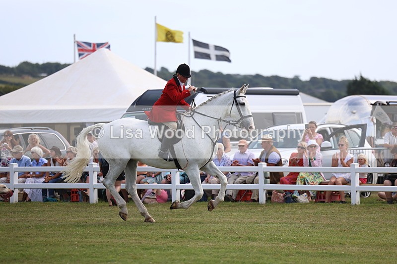 3E7A0227 - Parade of Hounds