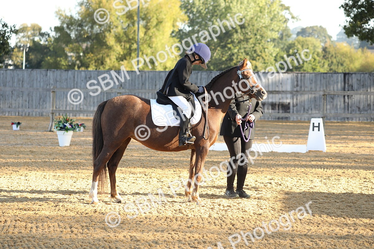 SBM_33659 - D26 - Starers - Lead Rein