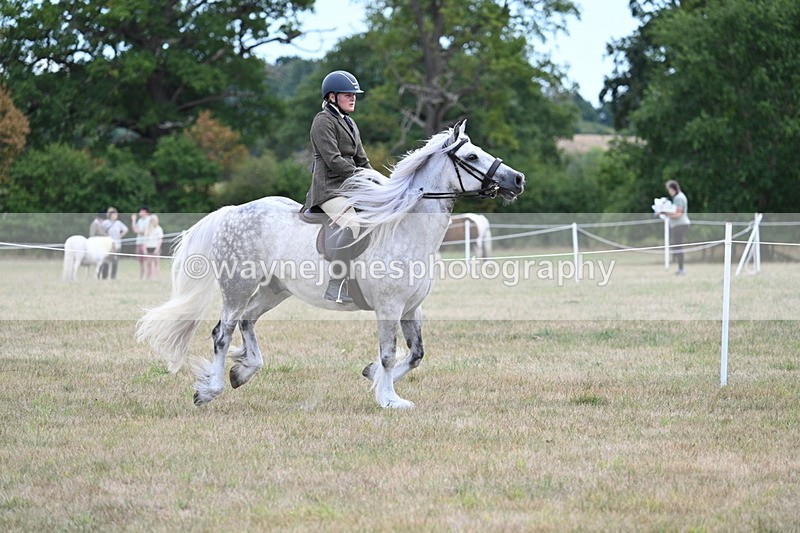 WJ7_5252 - Class 12 Ridden Cob