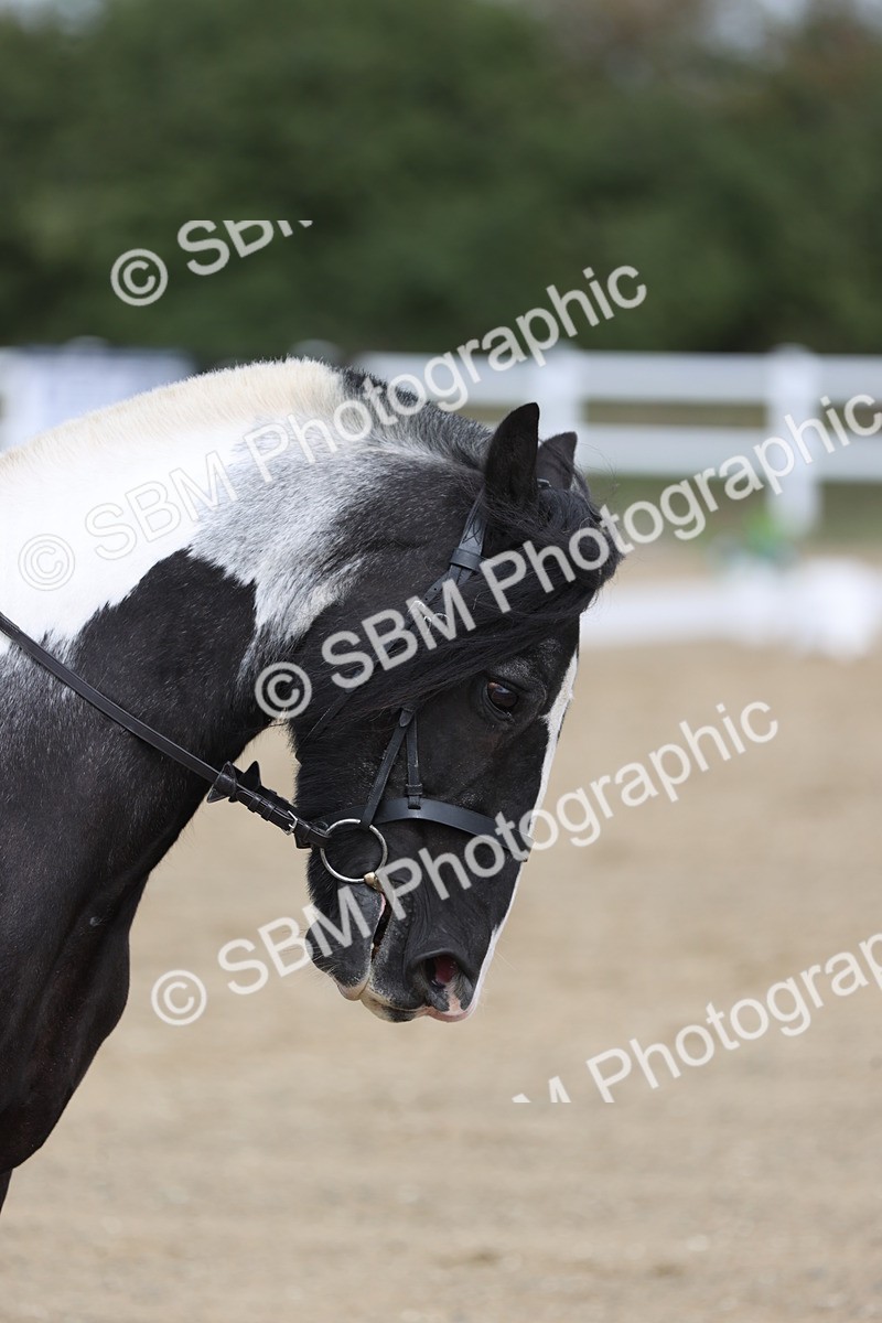 SBM_002165 - Class 6 - Prelim 3 Champs