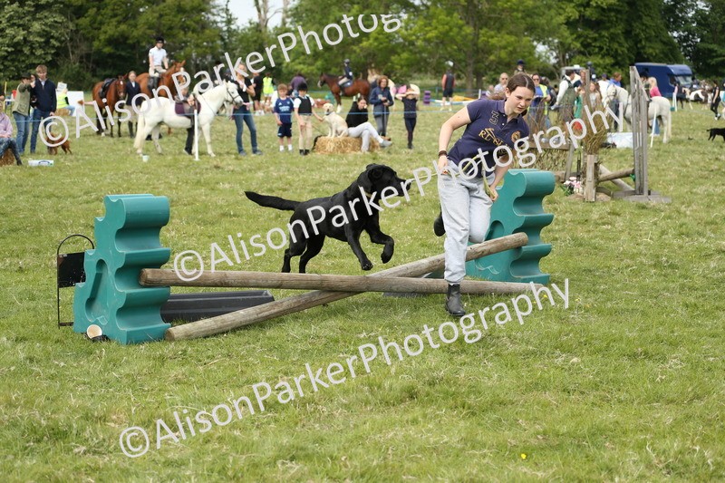 20250517-2924 - Class 25 - Horse & Hound