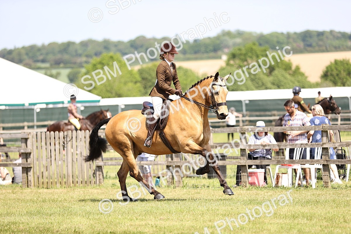 SBM_15152 - Class 79-80 - LIHS BSHA Rising Star Ridden Hunter