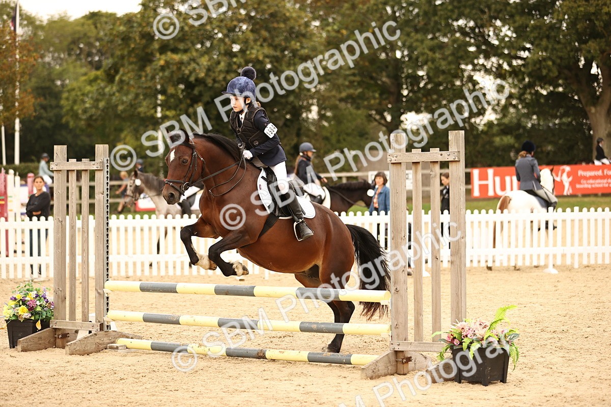 SBM_74240 - J14 - Junior Pony 65cm Championship