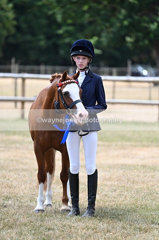 WJ7_2091 - Prettiest Mare Champs