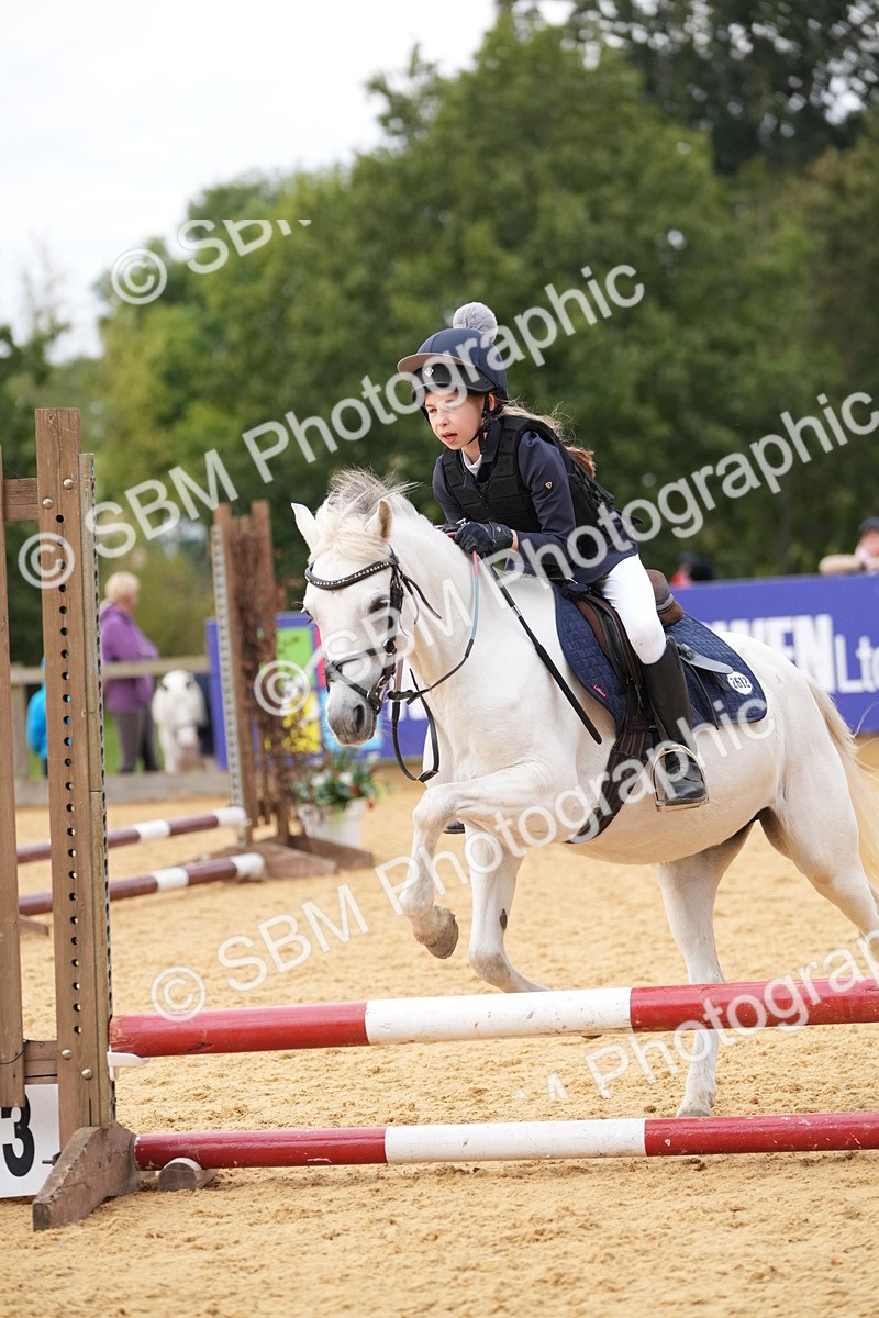SBM_74787 - J4 - Mini Tour Junior Pony 45cm Championship