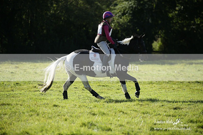  WWHT 031021 662 - WWEC Novice Restricted (0.80m) 18/10/20