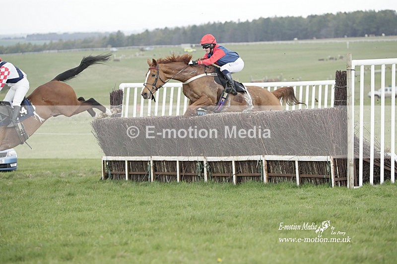 PtP 260323 0581 - New Forest Hounds Point-to-Point Larkhill 26/03/23