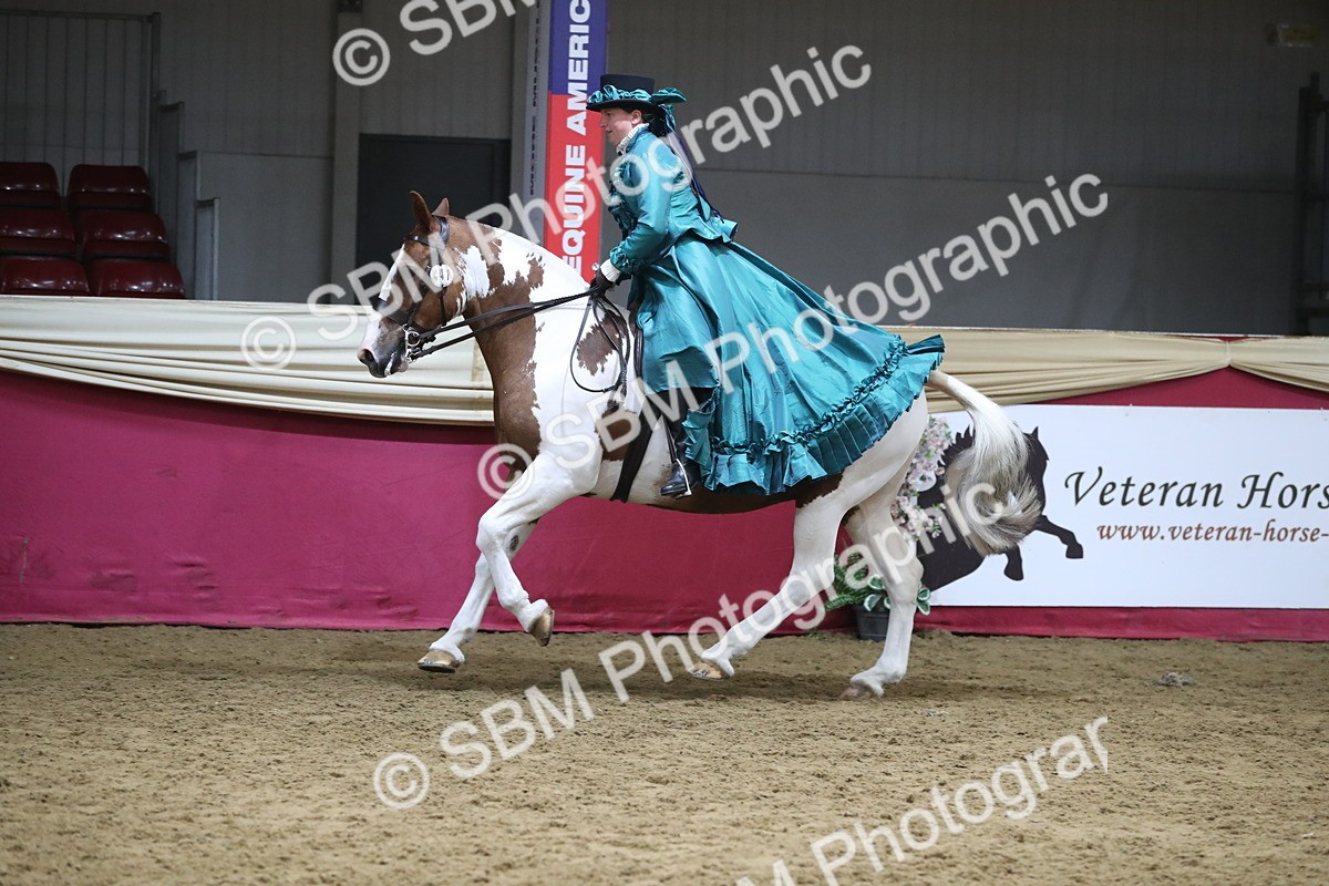 SBM_12034 - Class 106 Ridden Costume- Astride Adult (15-19)