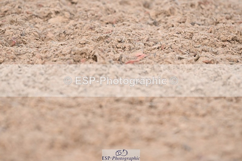 240324A-123454-02308 - Novice 28, 12.15 to 13.00