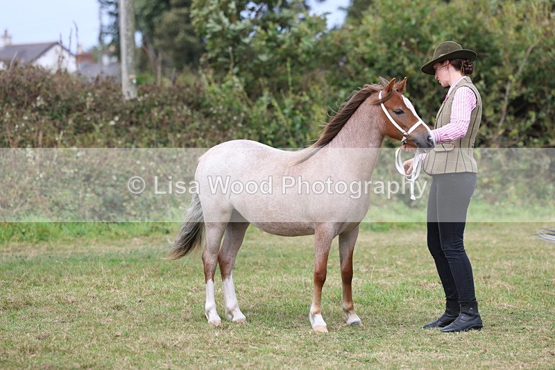 3E7A5407 - Class 19: Best Coloured in Hand