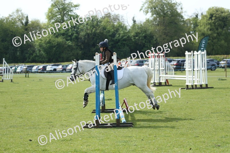 20260426-1535 - Class 14 - Novice 60cm