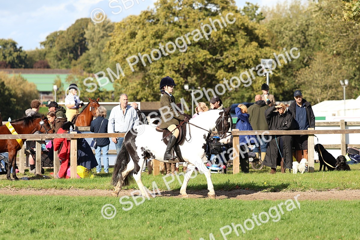 SBM_52367 - S13 - Pony Club Pony