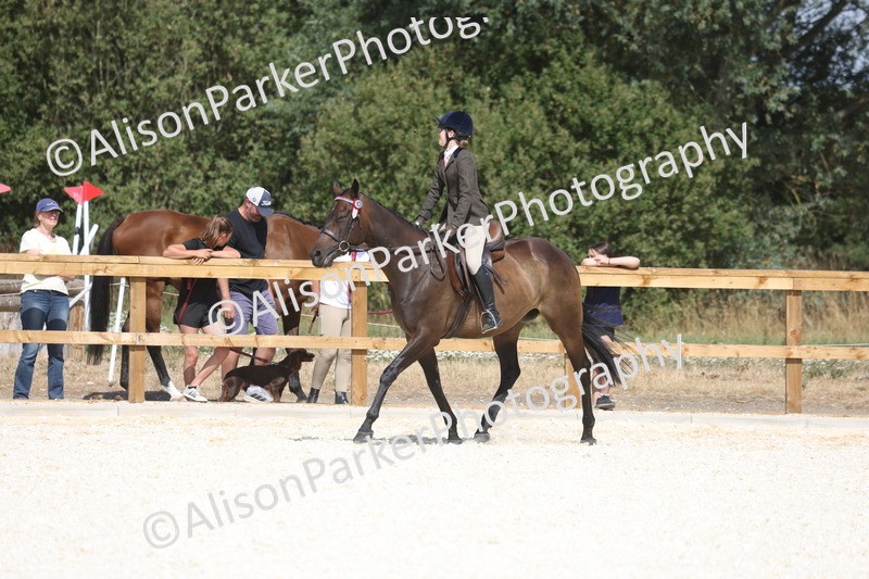 20260802-0721 - Class 8 - Best Riding Horse or Pony