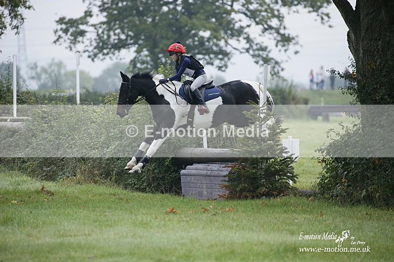 WWHT 171021 0076 - Novice Restricted (0.80m)  17/10/21