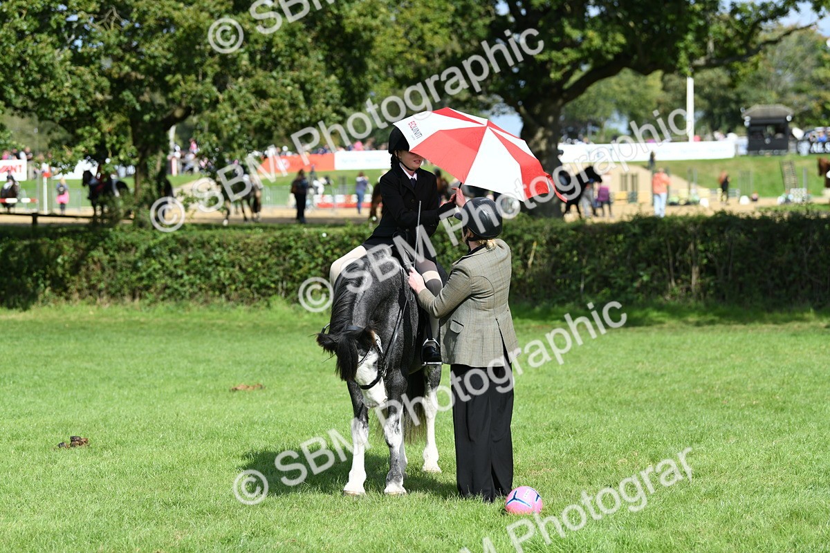 SBM_47091 - S12 - Family Horse & Pony