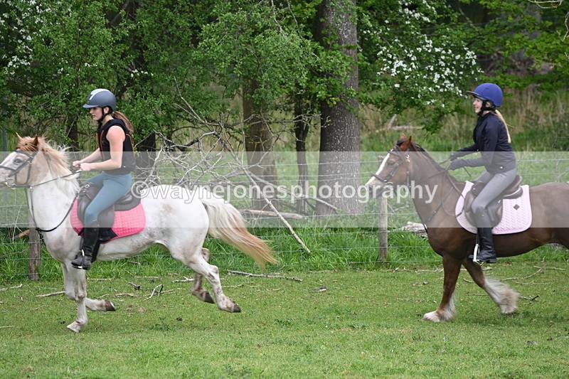 WJ6_3373 - A camera