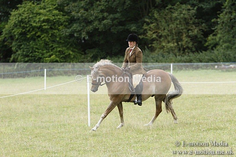 BVR160717-173 - Ring 3 BVRC Show 16/07/17