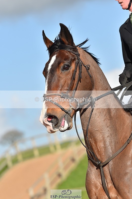 240306A-153314-01805 - Cls 5 Foxhunter and 1.20m Open