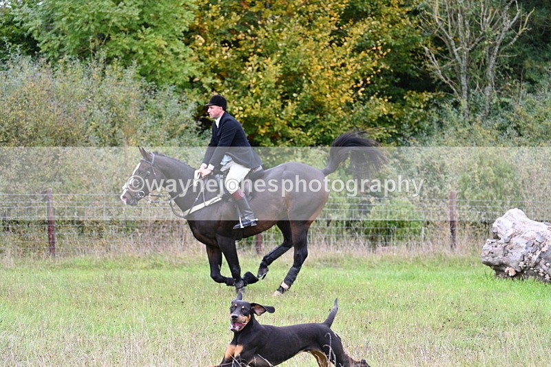 WJ7_3600 - Camera 1 Line 1