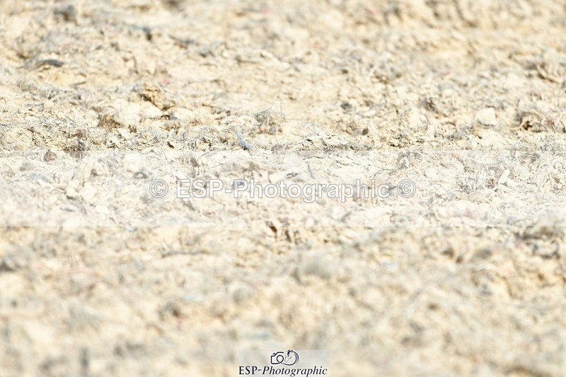 230623-163549-02881 - Cls 13 FEI Intermediate II