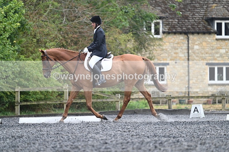 WJ7_7196 - Time 12:53 to 13:18