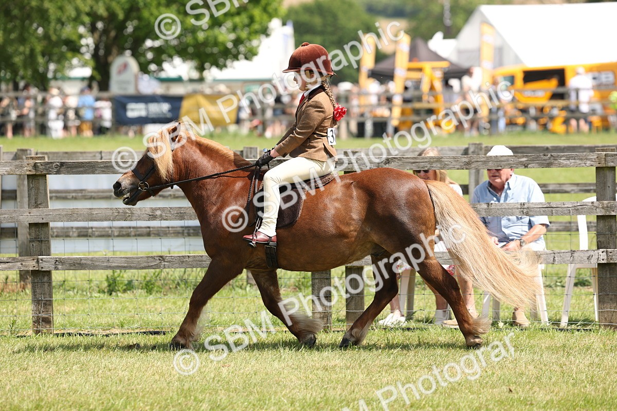 SBM_05337 - Class 24-25 - Mountain & Moorland In Hand Lead Rein and First Ridden