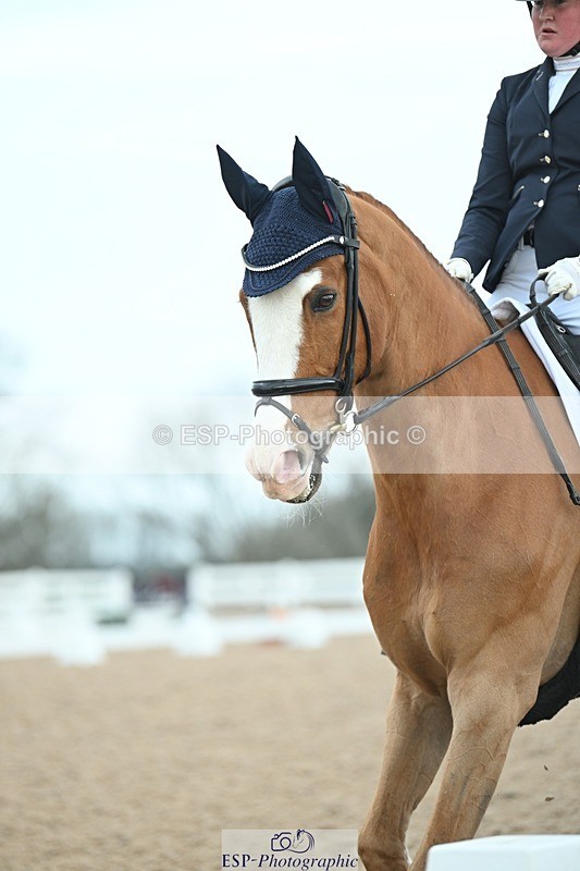 250403-085619-00465 - 047-Megan.Field-Dargun