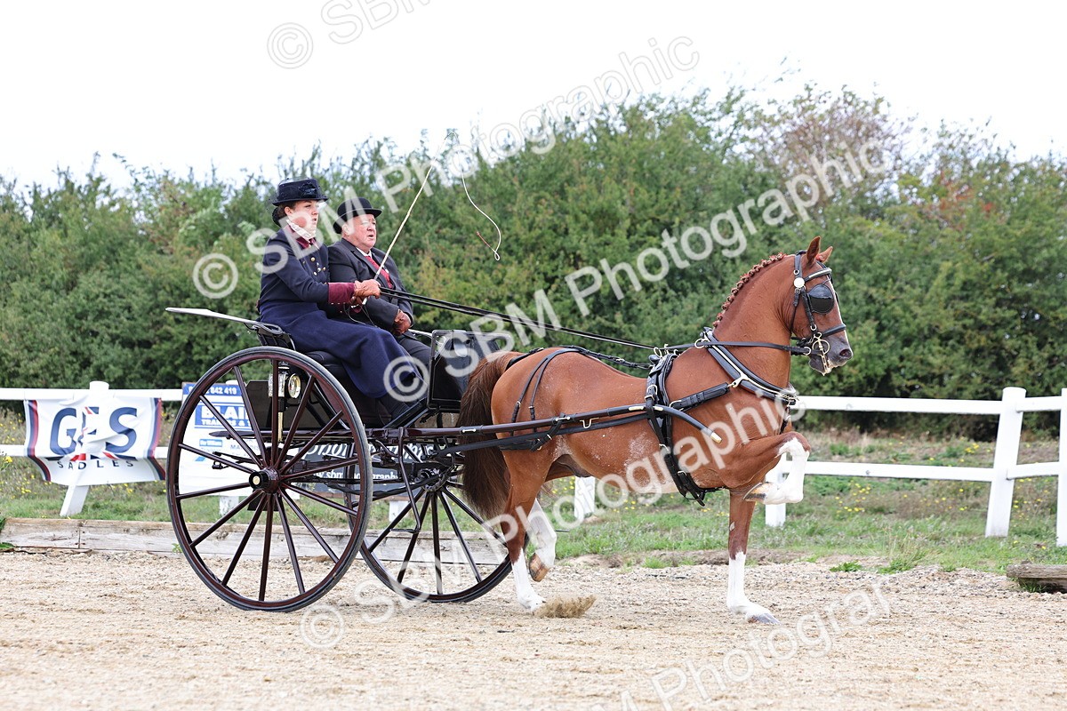 SBM_000411 - Class 4 - Junior Whip