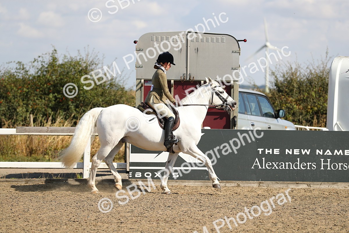SBM_03176 - Class 44 Riding Club Horse/ Pony