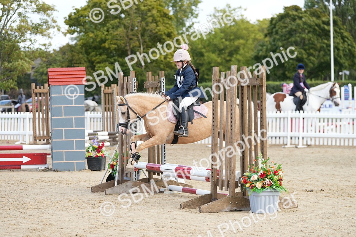 SBM_21139 - J49 - Open 50cm