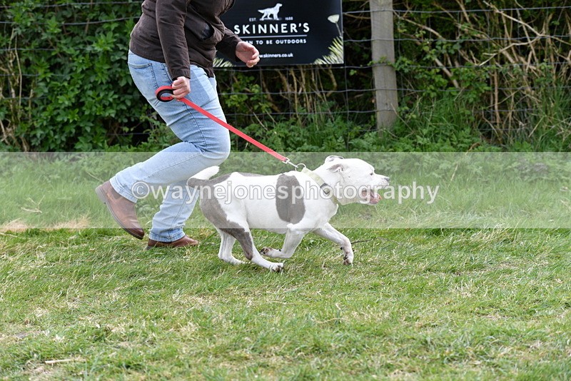 WJ5_9968 - Class 5 Best Veteran / 7 years & over