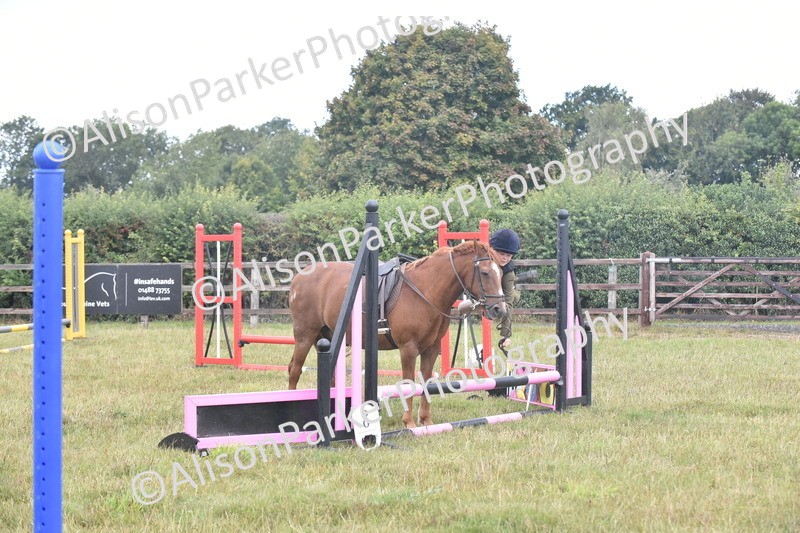 20250831-1855 - Class 9 - Absolute Novice 45cm