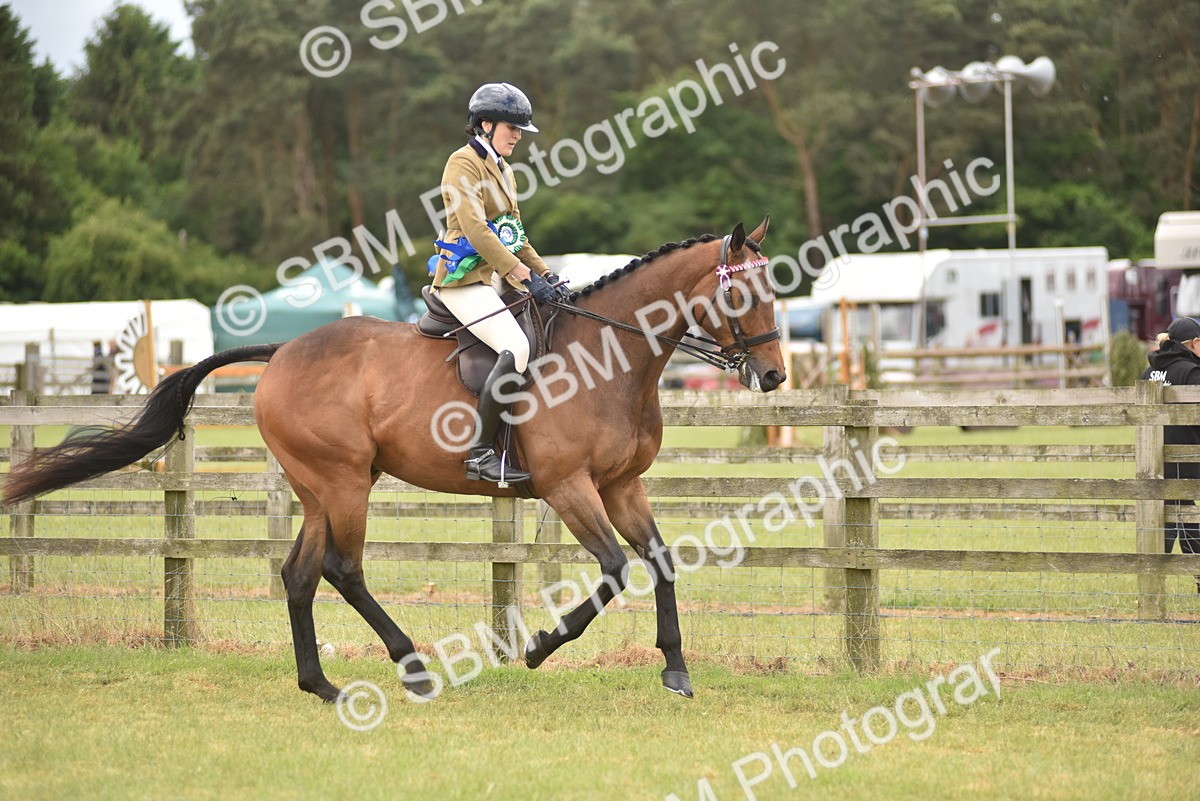 SBM_14275 - Class 113-114 - Retraining of Racehorses Ridden