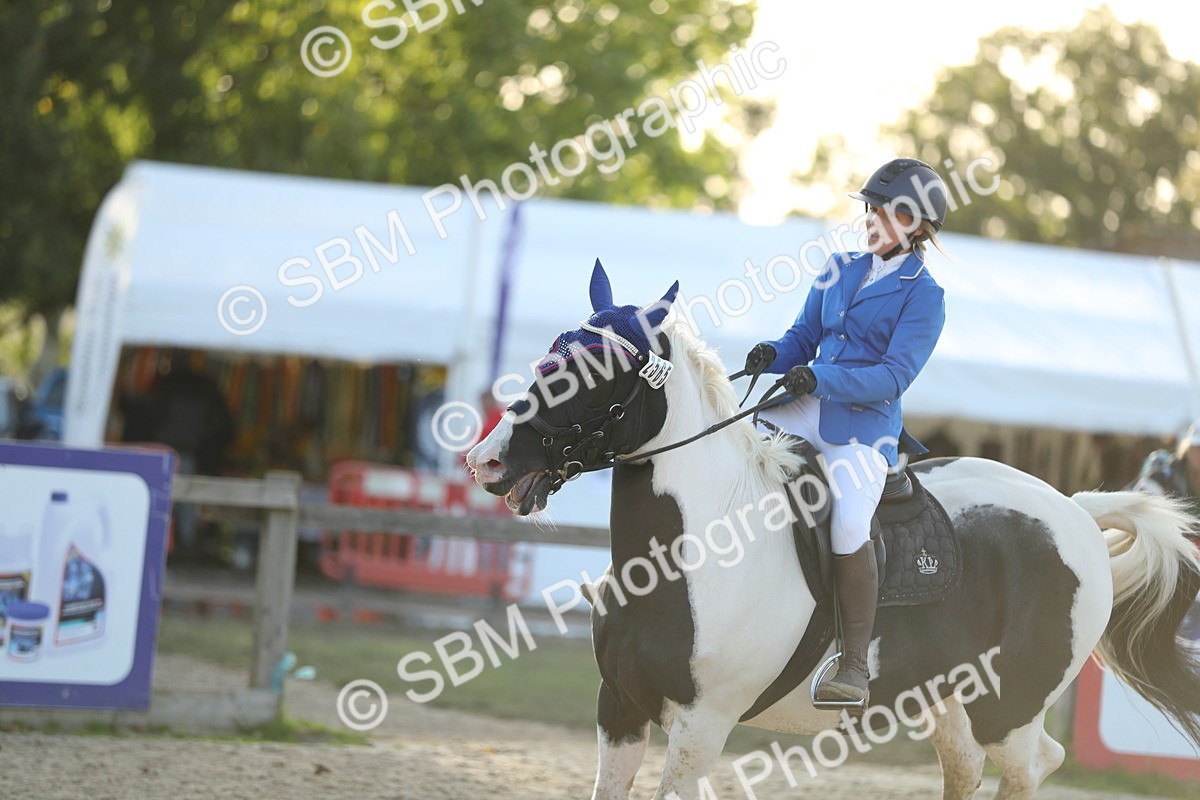 SBM_54192 - J23 - Junior Horse 70cm Championship