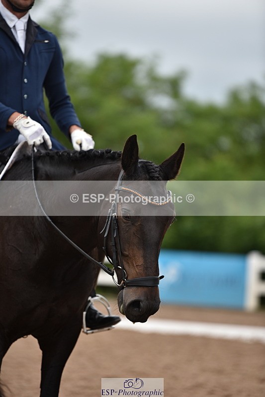 240623A-111346-17045 - Cls 47 BD Novice 22