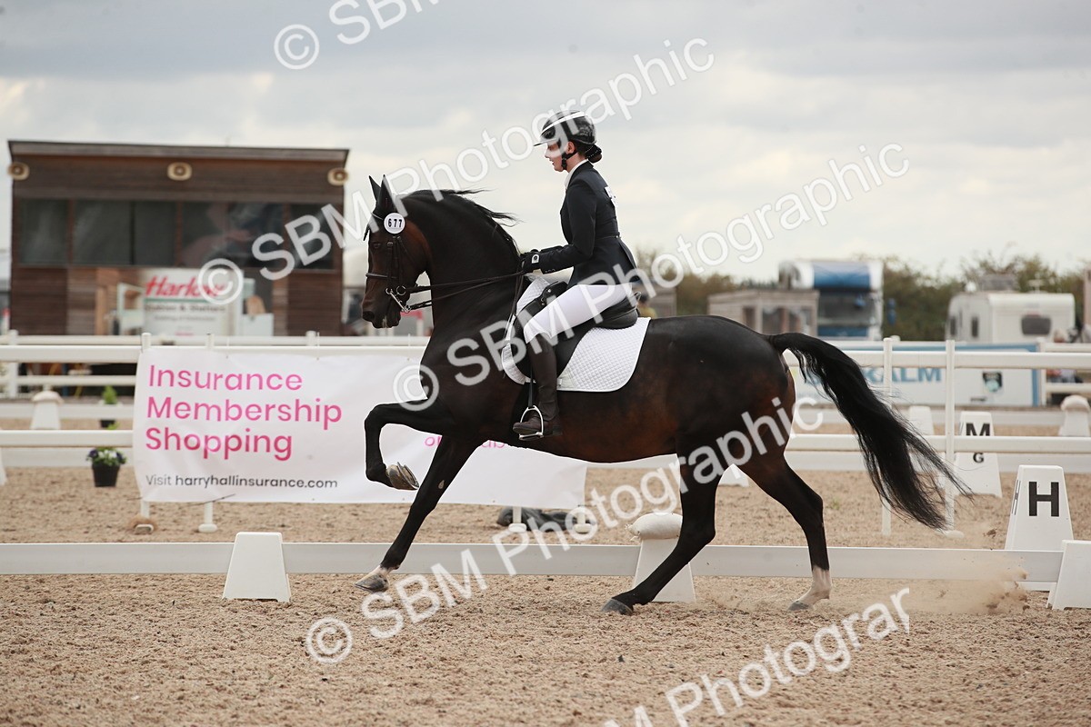 SBM_06144 - Class 33 - Elementary 1