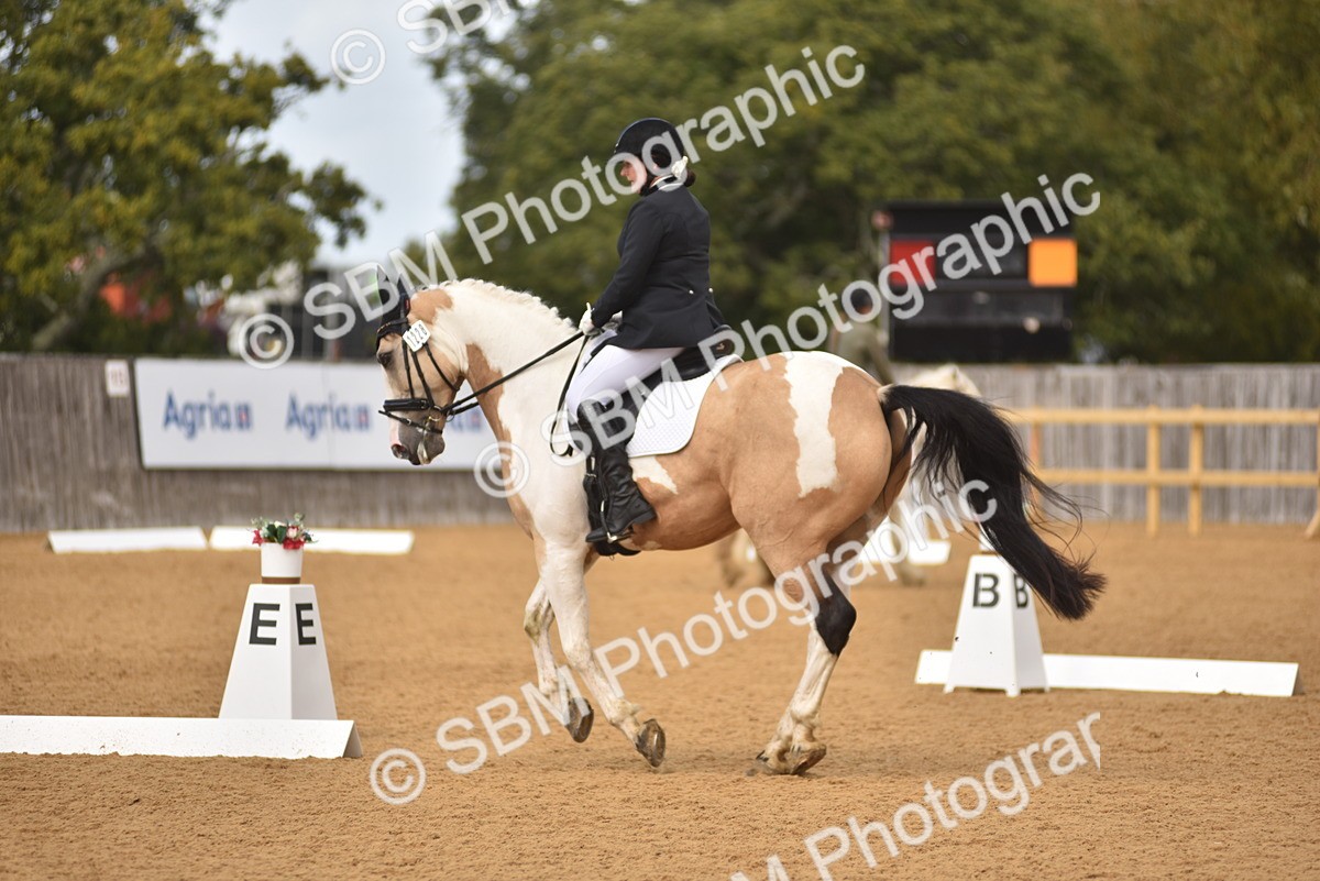 SBM_07758 - D15 - Small Tour Championship Novice 1