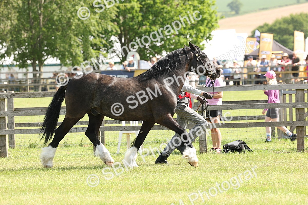 SBM_02344 - Class 6-13 - Mountatin and Moorland In Hand Welsh Breeds