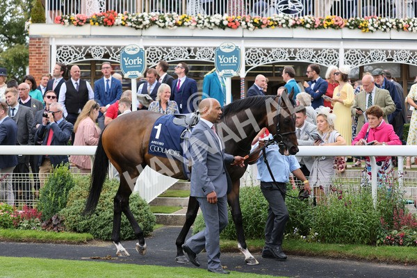 yr20082021r4-70 - Race 4 3.35pm Coolmore Wootton Bassett Nunthorpe Stakes (British Champions Series Race)
