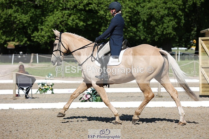 230526-093455-05106 - 356-THE_DUMB_BLONDE-Kat_Raybould-WEDTrotUp+DR