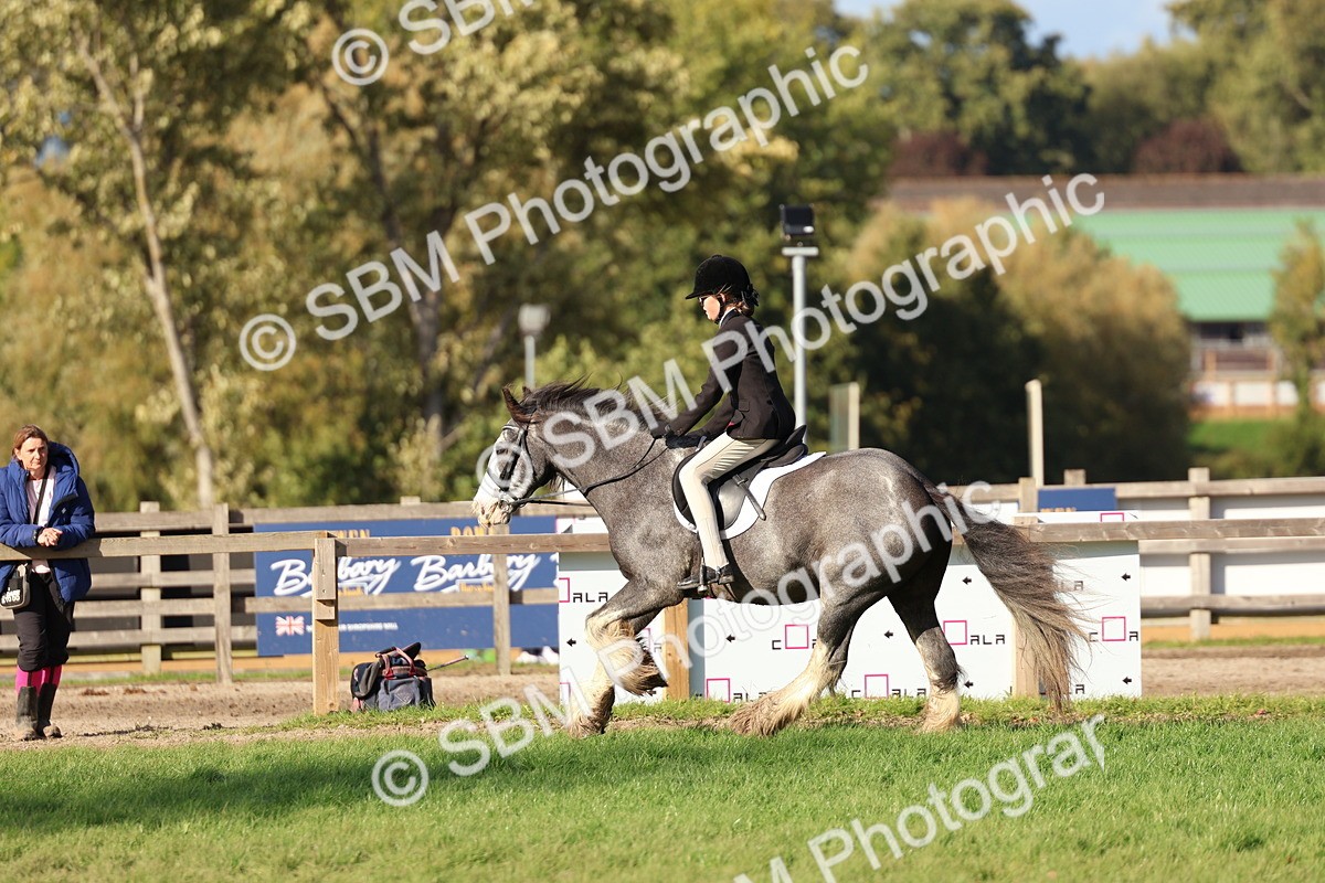 SBM_52483 - S13 - Pony Club Pony