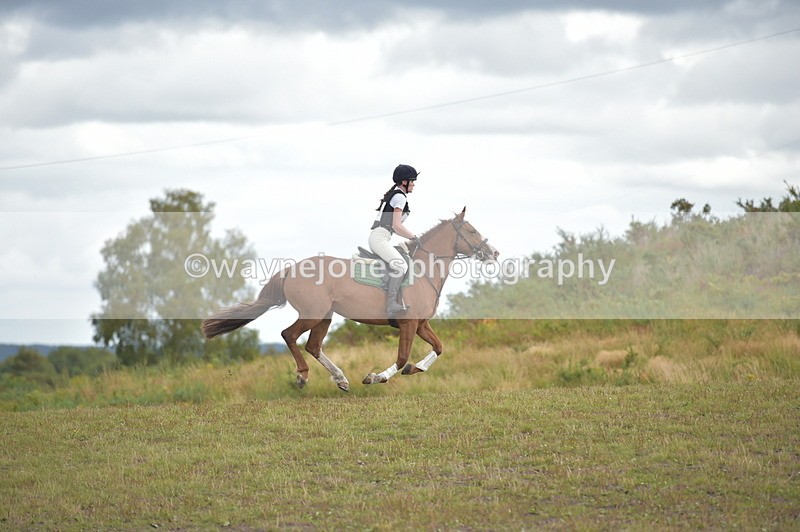 NGP_4256 - XC Time 12:36 to 12:57