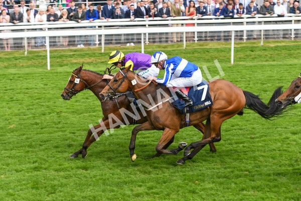 yr21052022r3-15 - Race 3: 3:30pm William Hill Best Odds Guaranteed Stakes