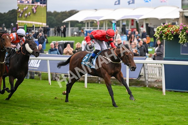 101025-Race 6-Dan Tucker-7084 - Race 6 Copper Knight Winning-Most Horse Handicap at York