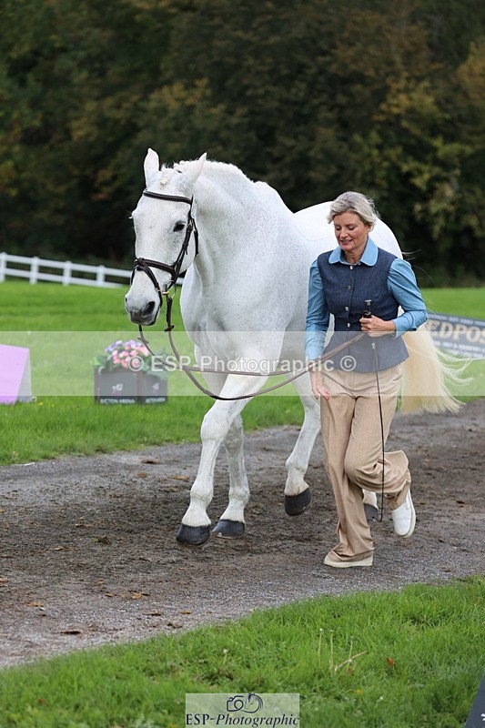 251026A-121555-25994 - H-651-Victoria.Tar