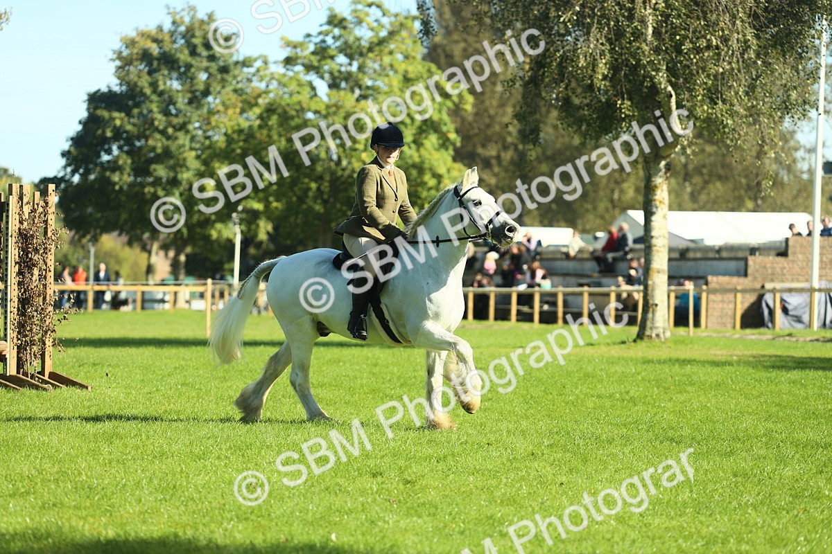 SBM_37379 - S29 - Novice & Newcomers Working Hunter Pony