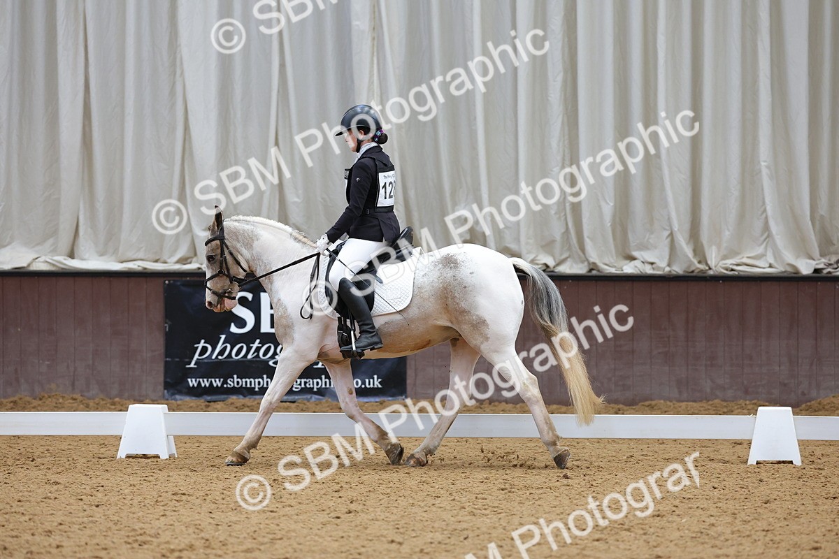 SBM_002666 - Novice
