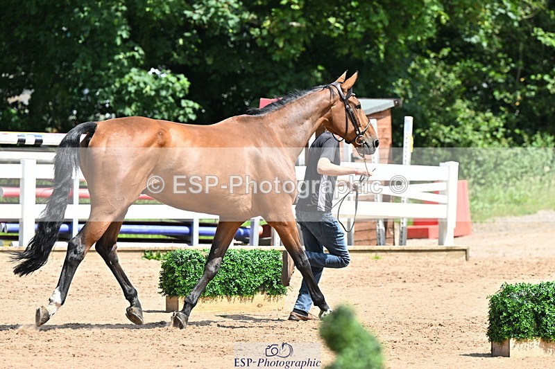 240718A-105251-01246 - Trot Up 12pm to 1pm