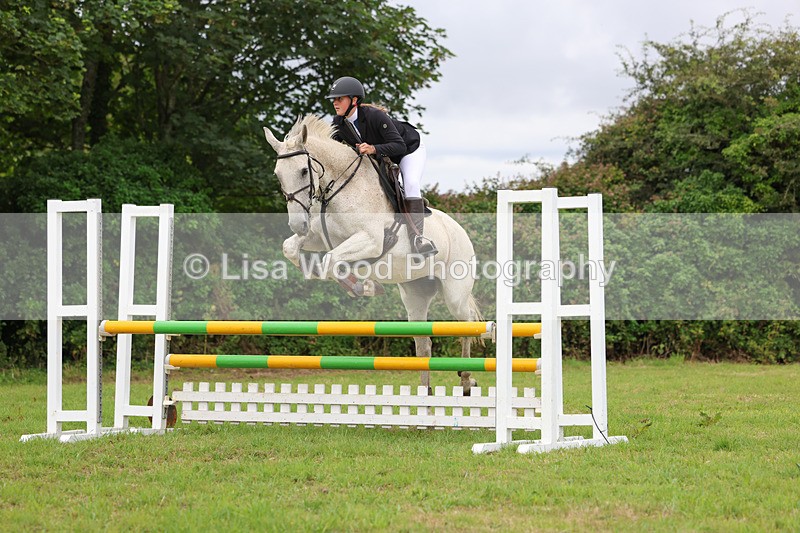 3E7A7080 - Class 5: Senior British Novice/90cm open